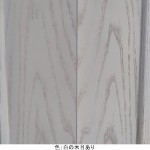 ryoubiraki_E-M-E56